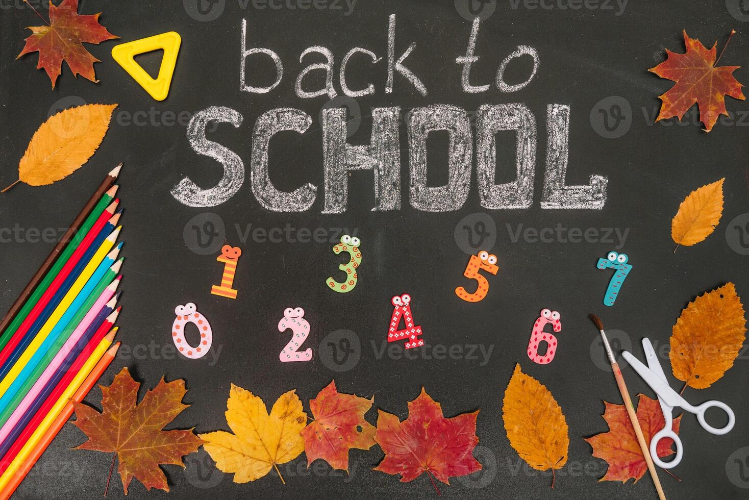 Back to school concept. School and office supplies on blackboard background photo