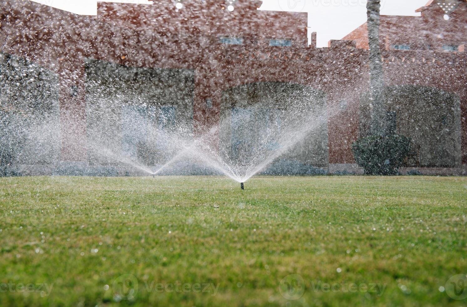 Modern device of irrigation garden. Irrigation system - technique of watering in the garden. Lawn sprinkler spraying water over green grass. photo