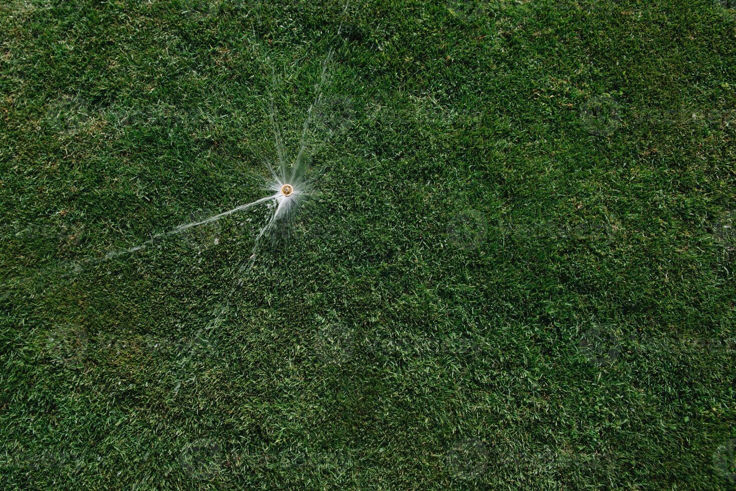automatic sprinkler system watering the lawn on a background of green grass, close-up photo