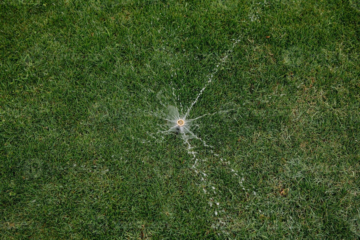 automatic sprinkler system watering the lawn on a background of green grass, close-up photo