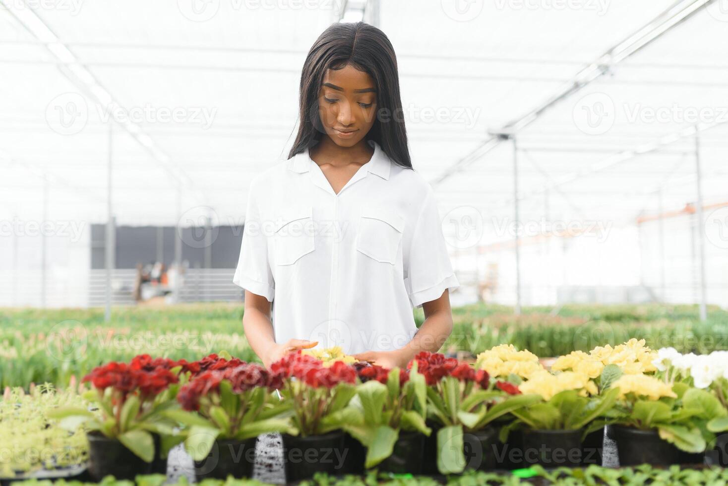 pretty young african gardener portrait in greenhouse photo