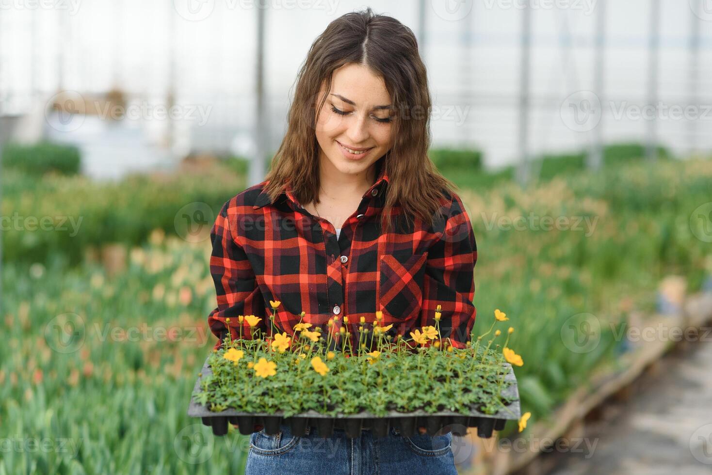 Beautiful young smiling Florists woman, worker with flowers in greenhouse. Concept work in the greenhouse, flowers. photo