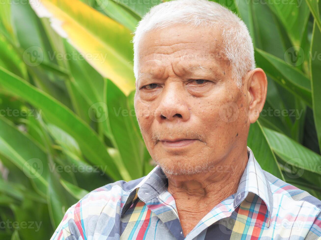 Portrait of a senior man with gray hair, smiling and looking at the camera while standing in a garden. Concept of aged people and healthcare photo