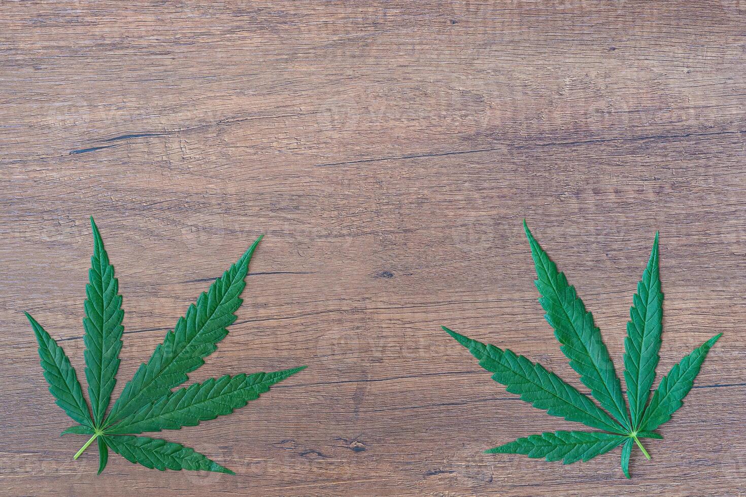 Top view of cannabis leaf on wooden table. Space for text. Wood texture background. Hemp herb green leaves for medicinal. Farm marijuana plantation concept photo