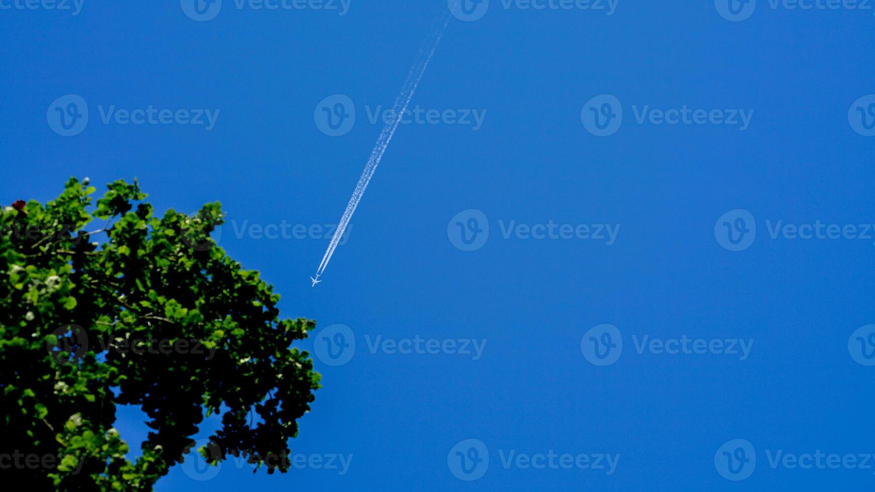 A Plane's Trail Over Green Tree photo