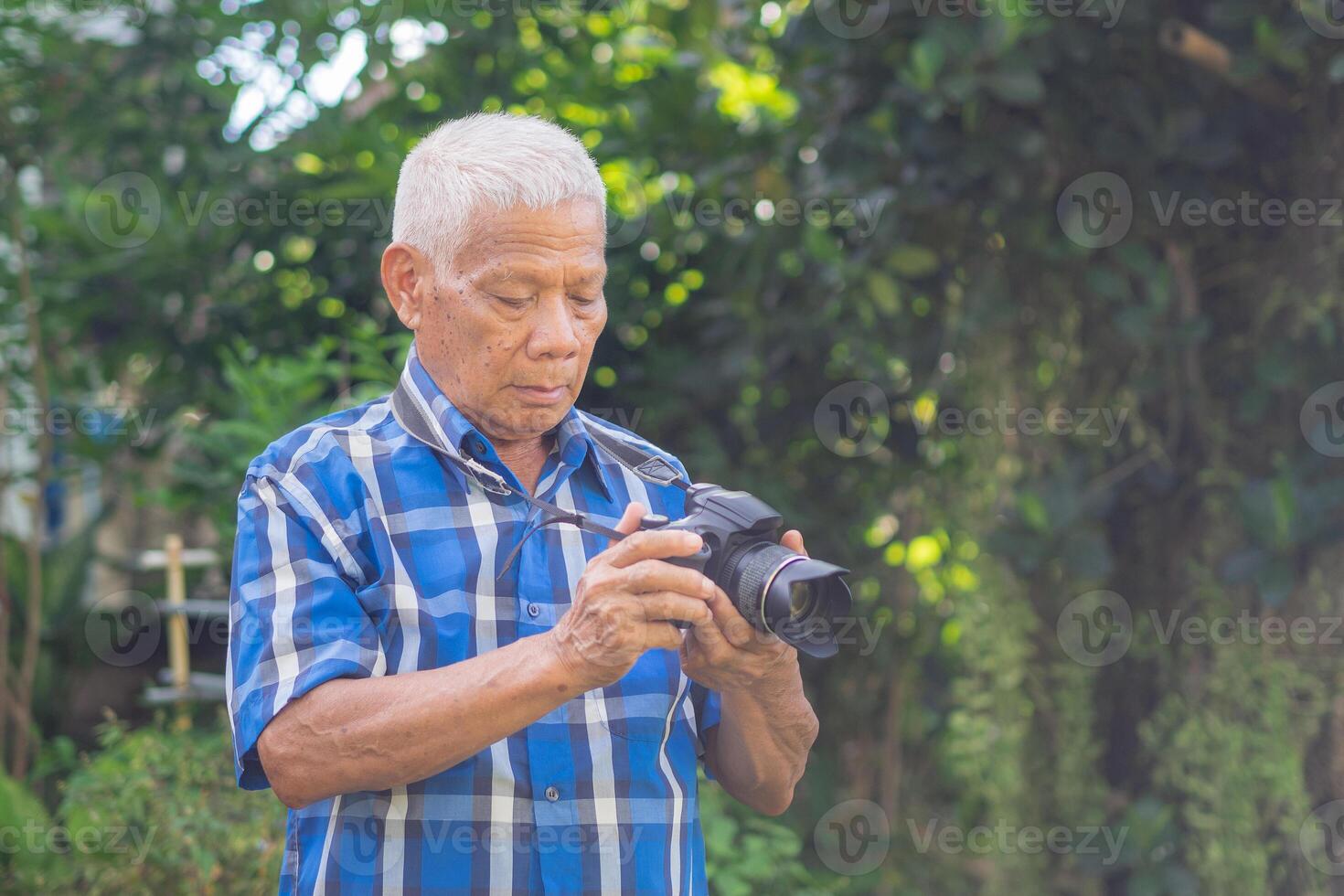 Senior man shooting photo by a digital camera in the garden. An elderly man wears a blue shirt, happy when using a camera. Concept of aged people and photography