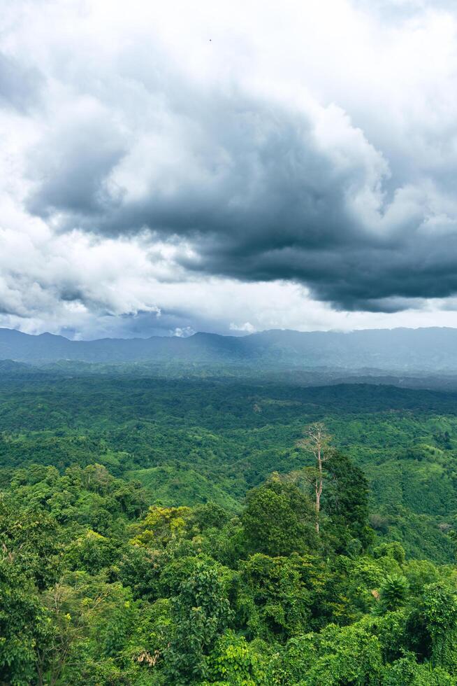 Beautiful Sajek Valley, clouds over the mountains, view from the top of mountain, view of a forest, natural beauty photo