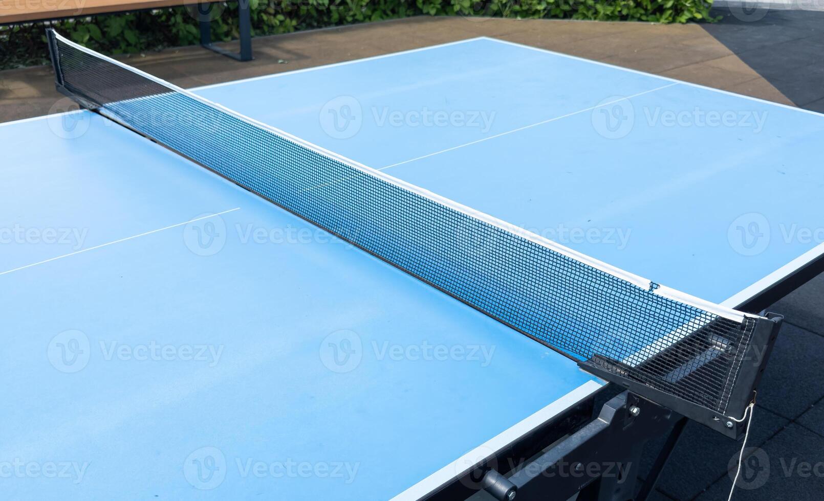 ping pong table in the garden photo