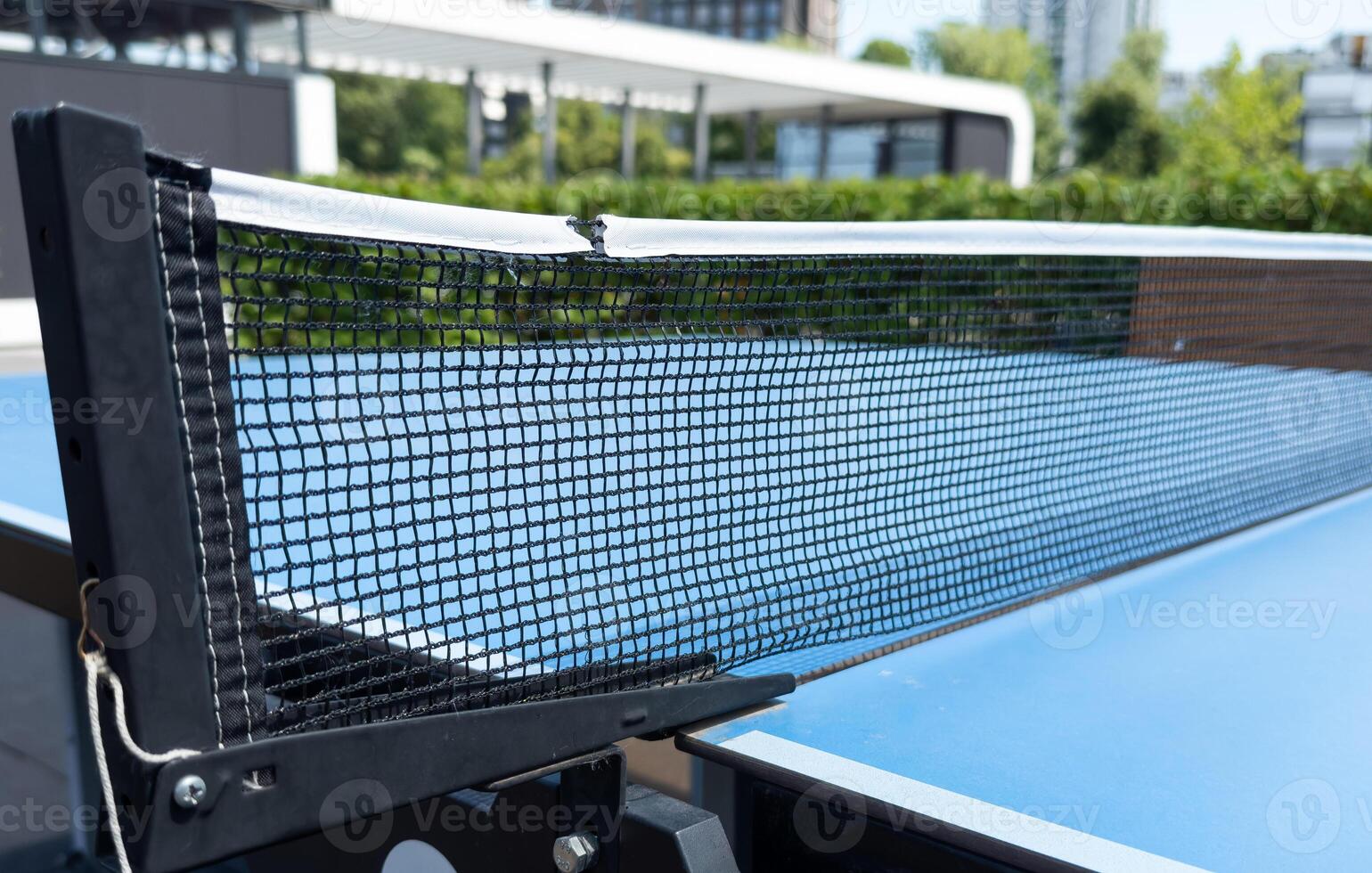ping pong table in the garden photo
