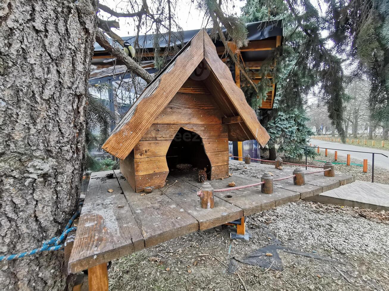 house in the forest for animals and birds. Wooden bird house in the summer park. on an tree stump. Old wooden feeder for birds on a tree, empty bird's feeder caring about wild birds in cold season. photo