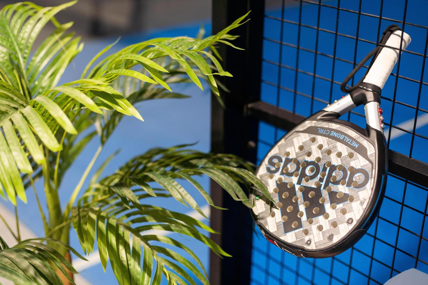 Kyiv, Ukraine. March 22, 2024 paddle tennis objects in court, racket, balls and fences outdoors, focus on fence photo