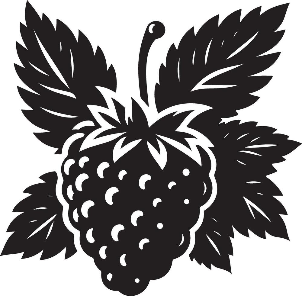 Dewberries, fruit silhouette, black color silhouette vector