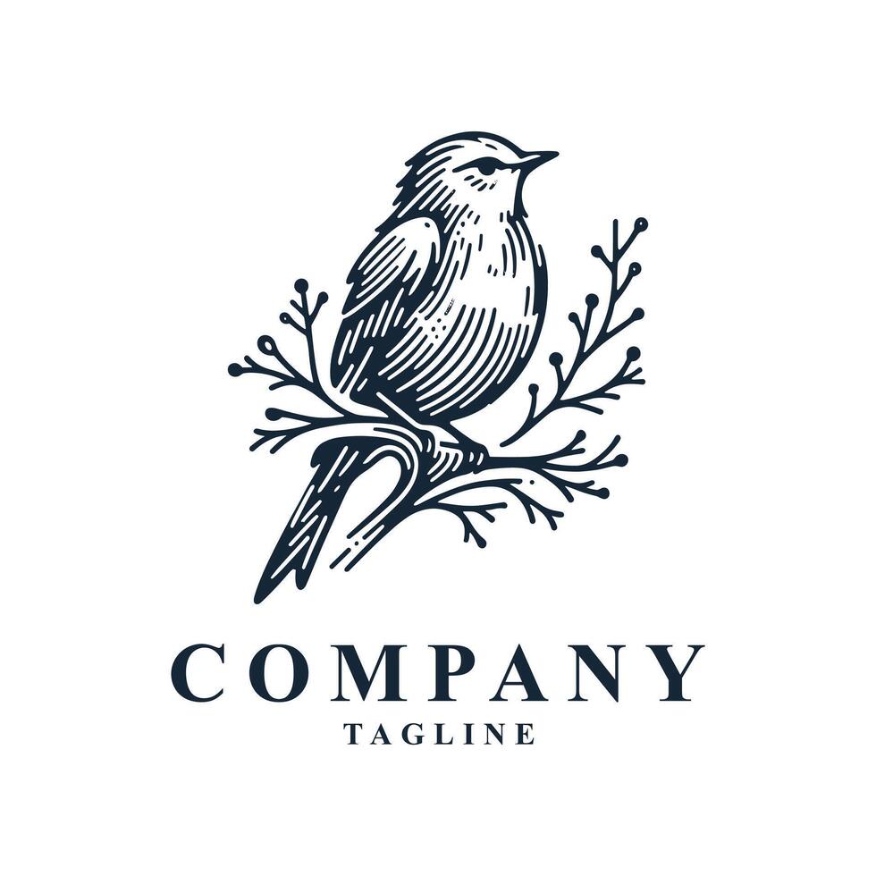 Bird logo design vector