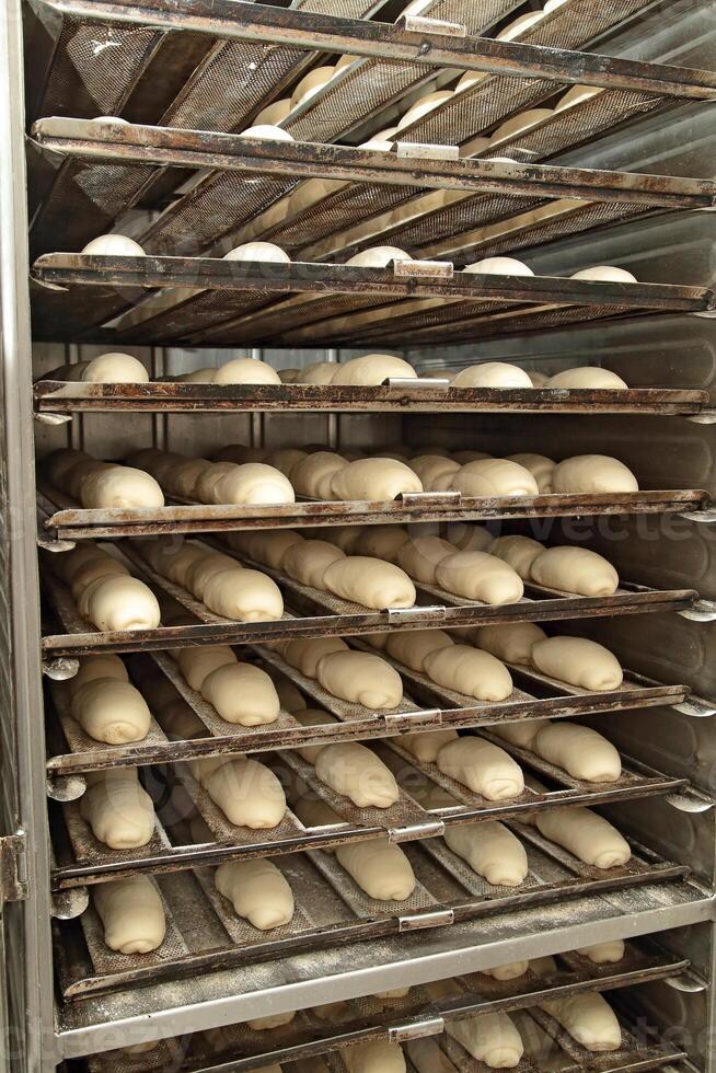 French bread making process photo