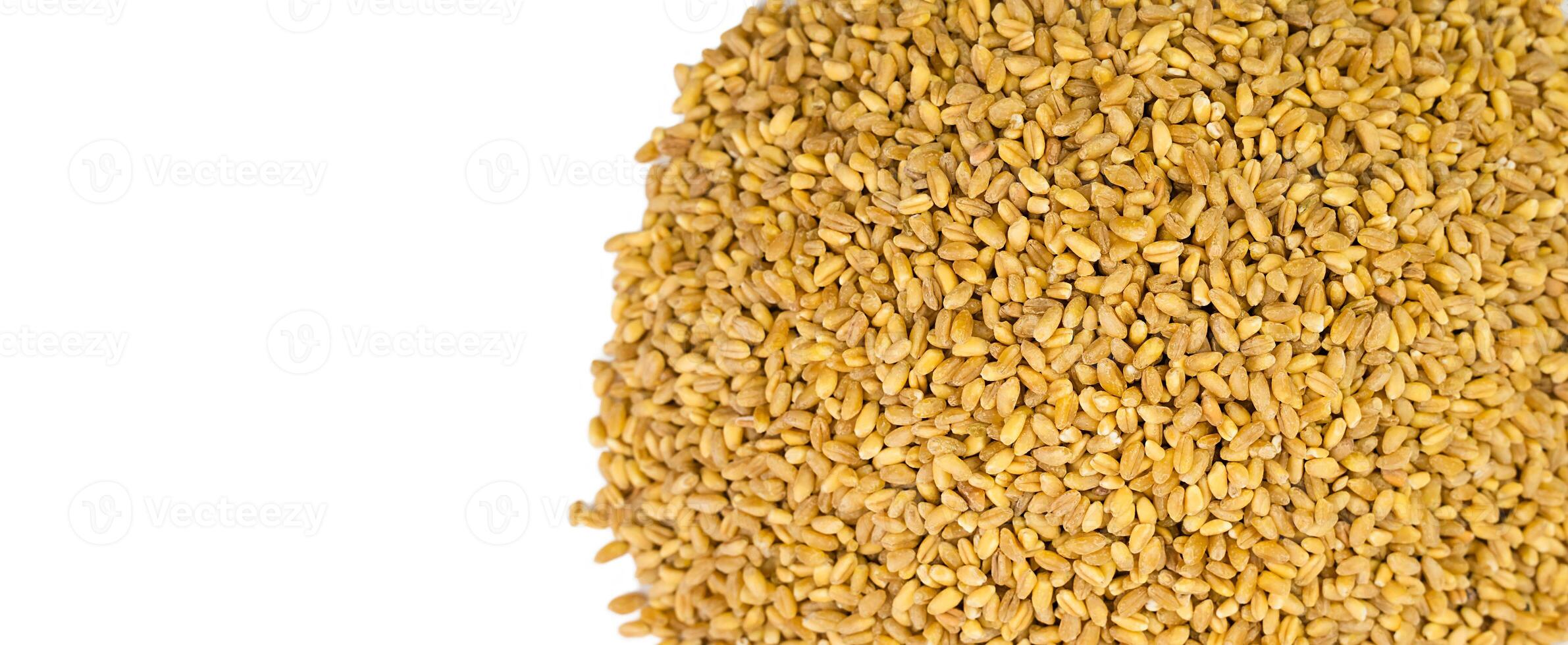 Wheat grains isolated on a white background. Copy space. Top view. Close-up. photo