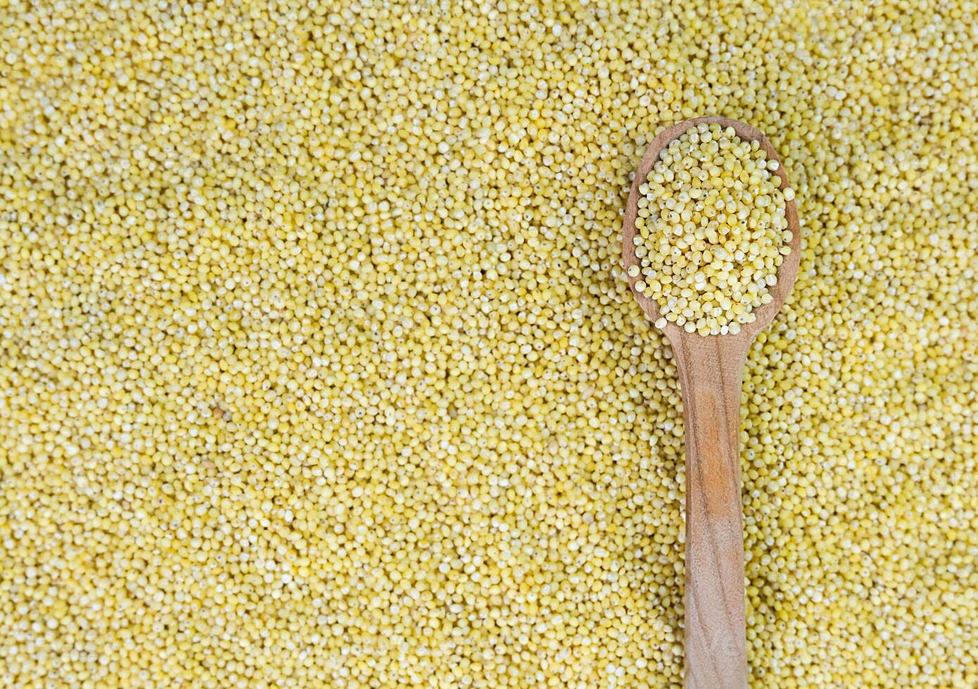 Raw millet groats in a wooden spoon on a background of millet. Top view. Selective focus. photo