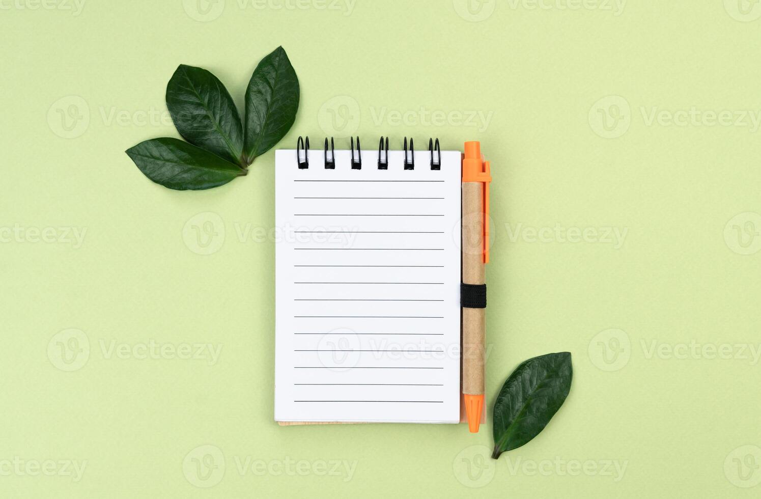 Empty notebook and pen made of eco friendly materials on a green background. Top view. Flatlay. Place for text. photo