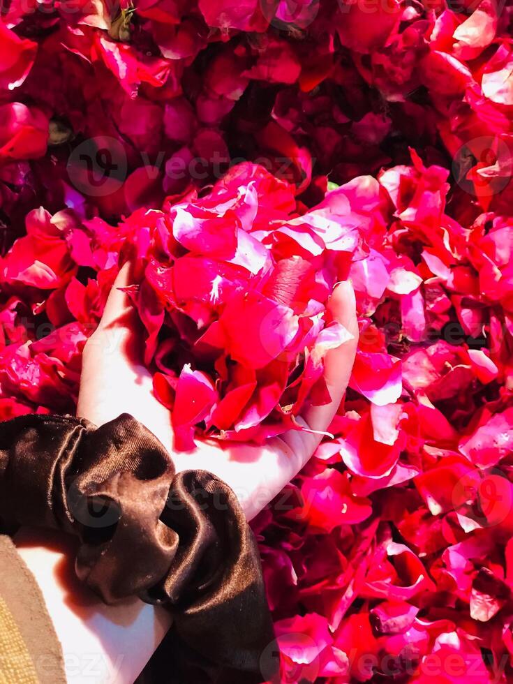 a flower bed with red petals in the center photo