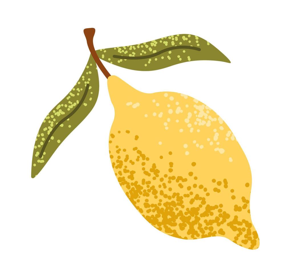 Hand drawn lemon with leaves and textures. Juicy summer citrus. Organic fruit for lemonade, juice or vitamin C healthy food. Flat illustration isolated on white background. vector