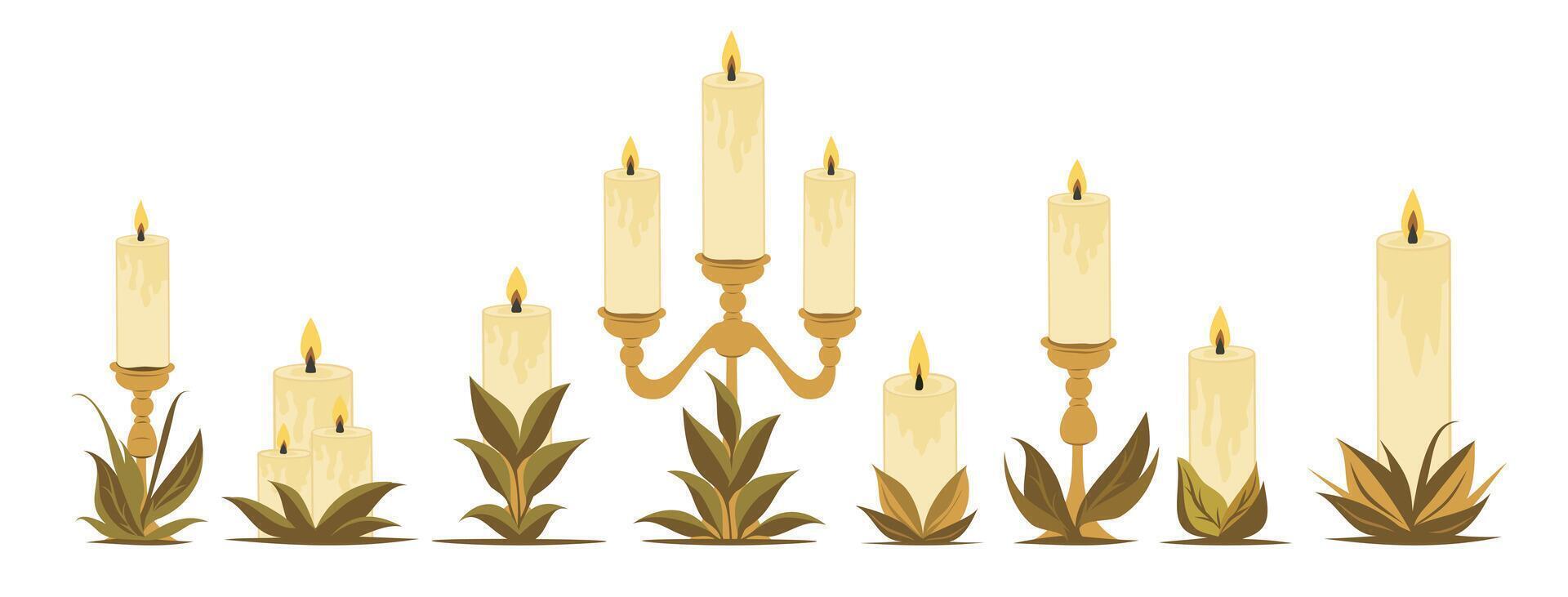 Set of beautiful different shapes of candles surrounded by greenery plant leaves. Antique historical candles. Decorative candle for home. Fire and light, candles, lamp, candlestick. vector