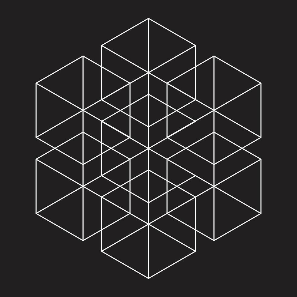 The abstract hexagon overlap on a black background. vector