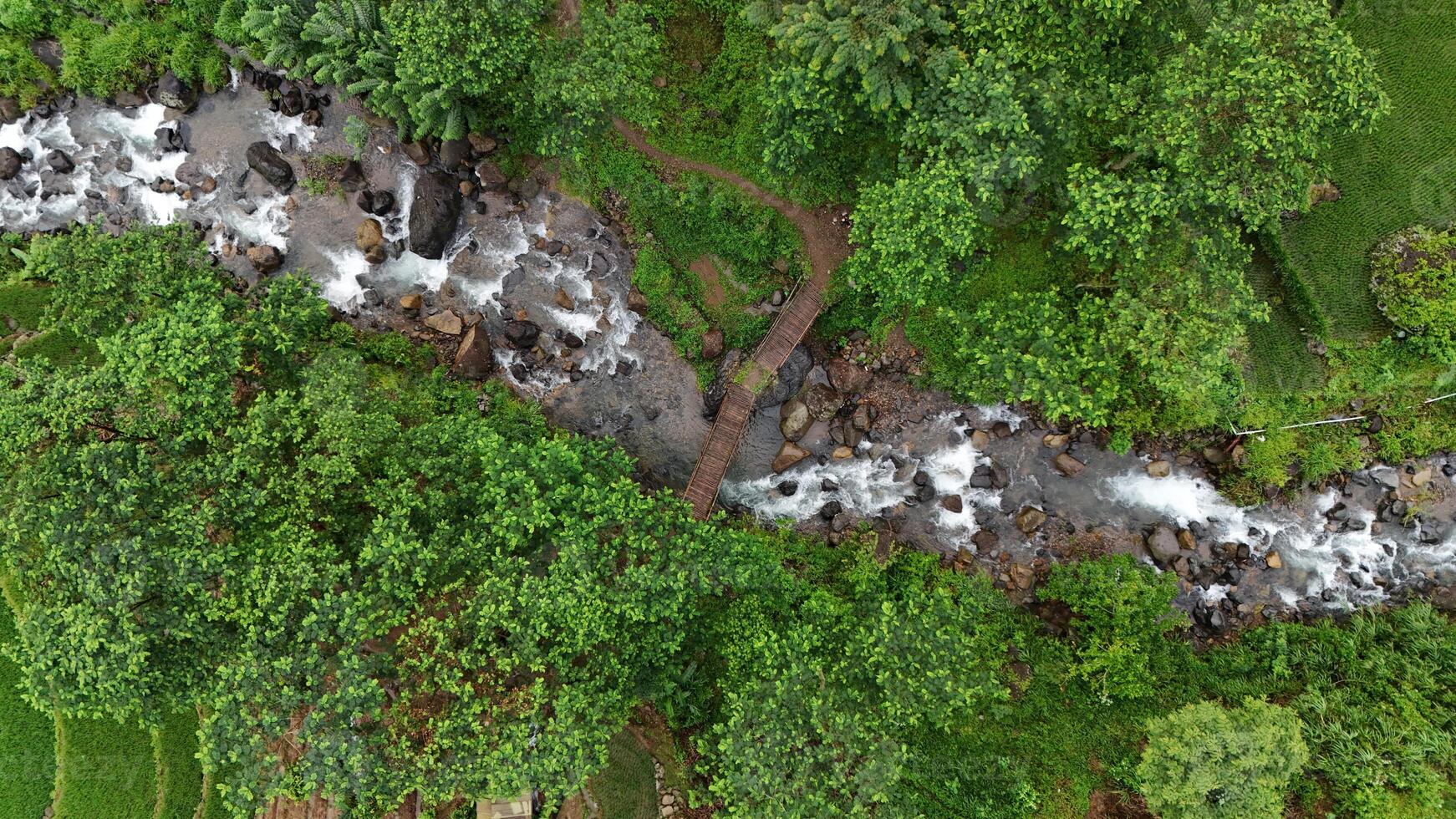 Mountain emerald river with stone coast and forest - strong stream with twists of crystal clear mountain river. Aerial drone top down view at summer sunny day photo