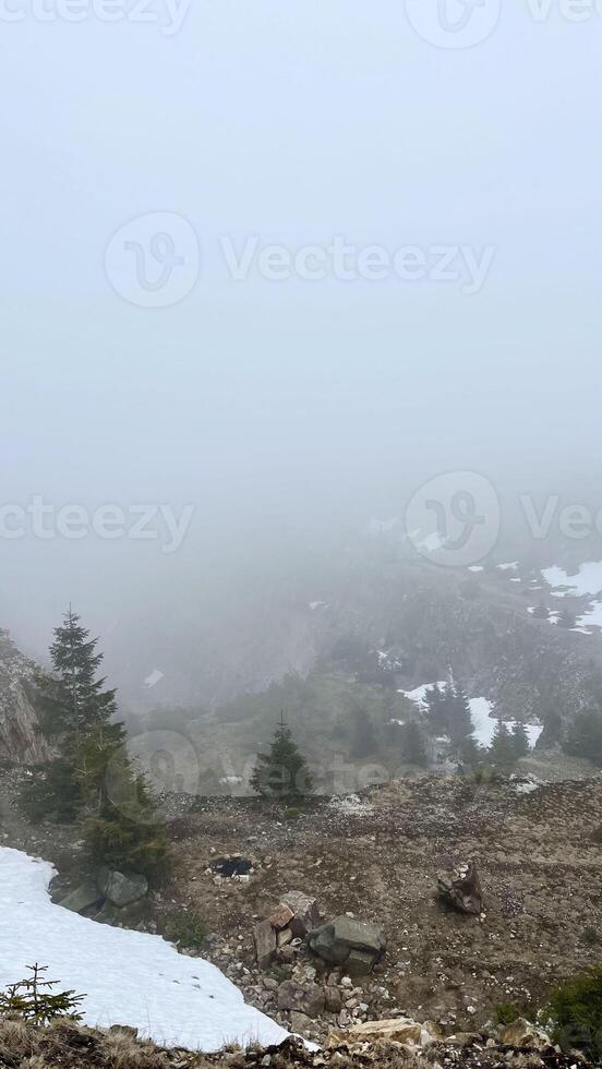 Spring mountains in the fog photo
