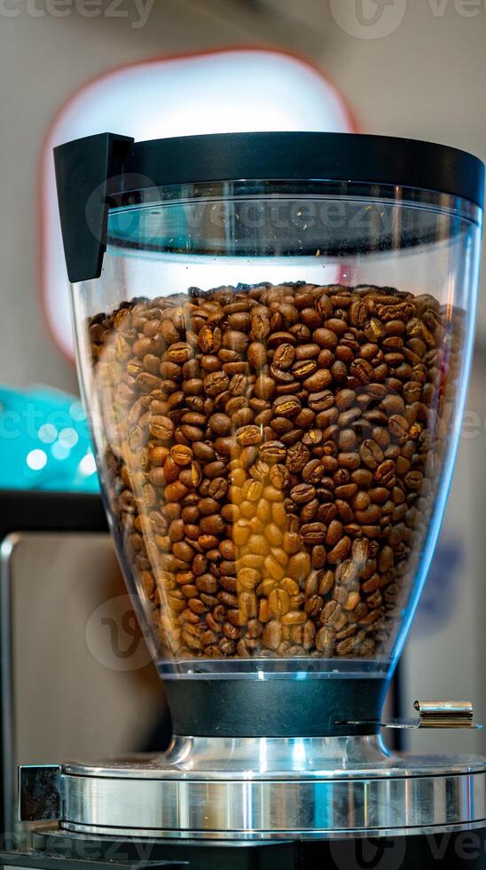 Coffee seeds in coffee machine. Fresh coffee sedds in machine. photo