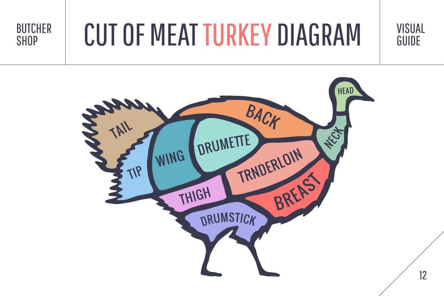 Cut of meat set. Poster Butcher diagram, scheme - Turkey vector