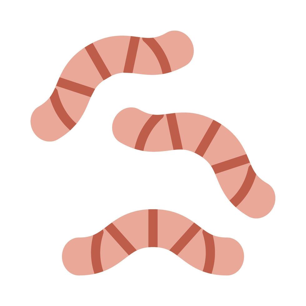 Worms Flat Icon vector