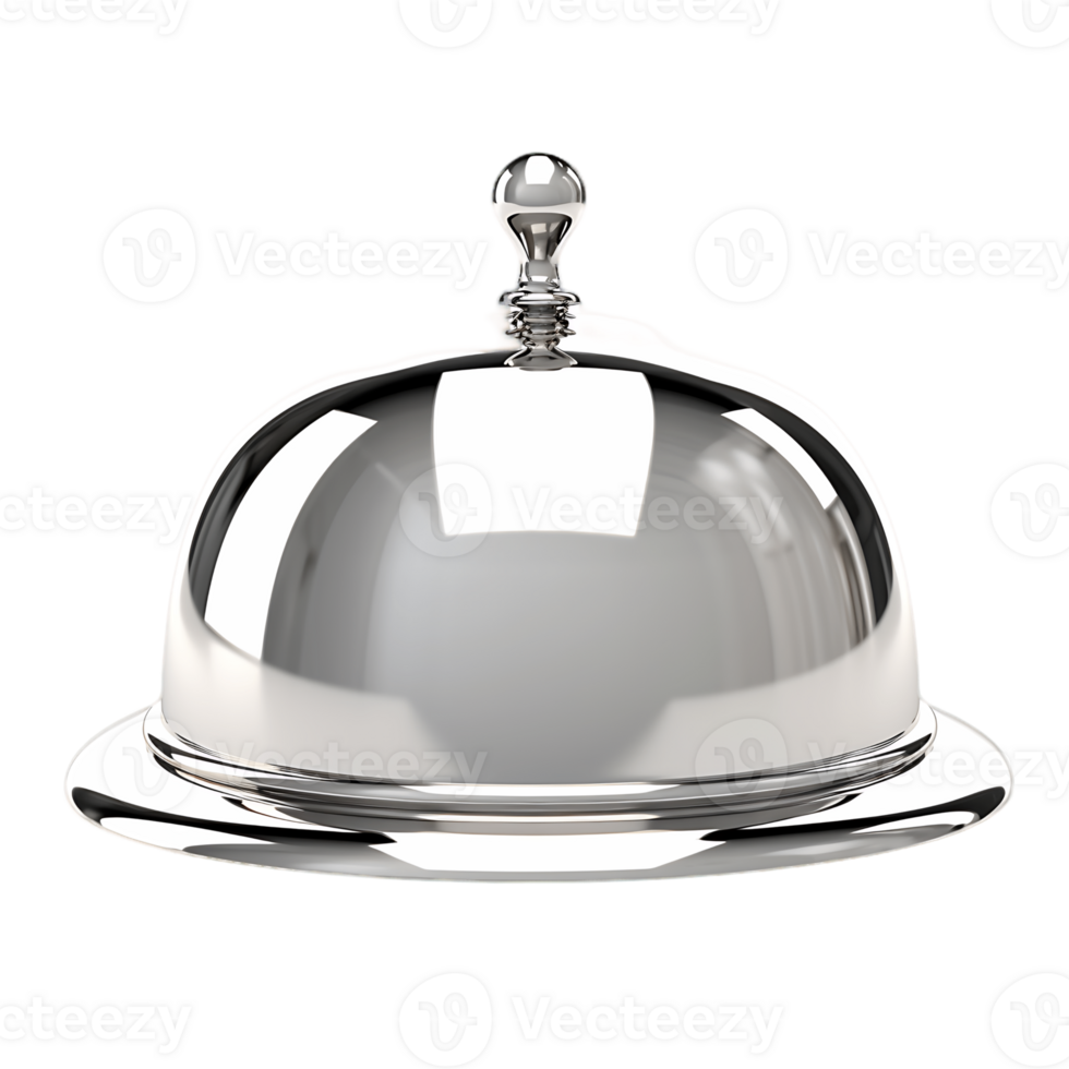 Silver Cloche Presentation Dining in Style png