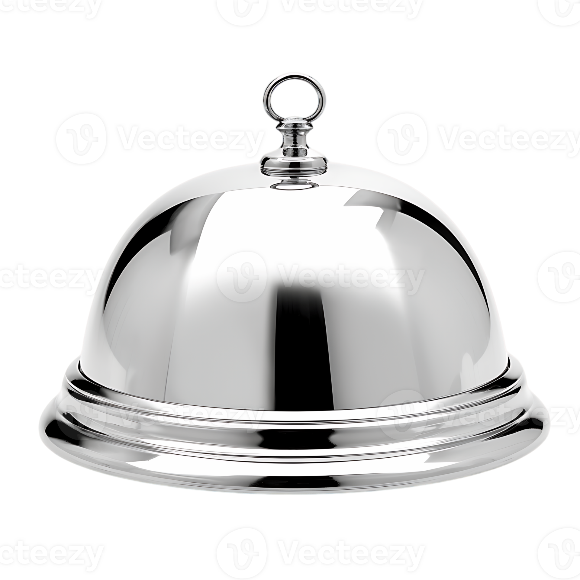 Fine Silver Platter Cloche Reflecting Culinary Excellence 45686803 PNG 