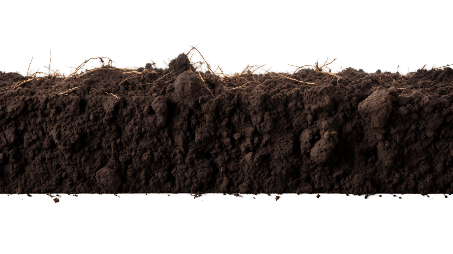 Nutrient Dense Soil Black Earth Cut Out png