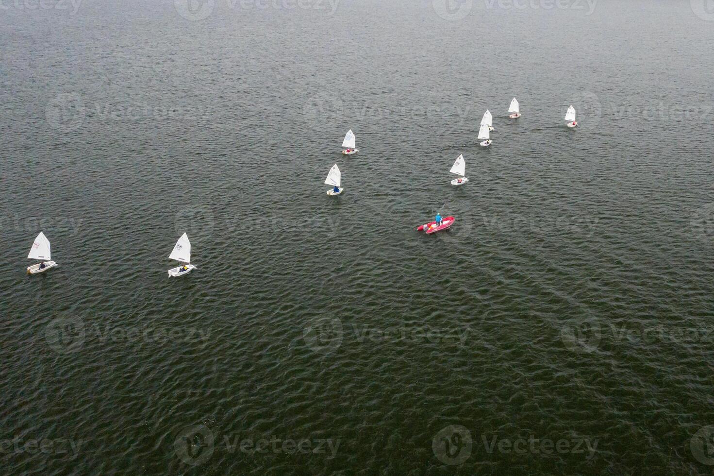 Sailing regatta on the sea. many white sails float on the water photo