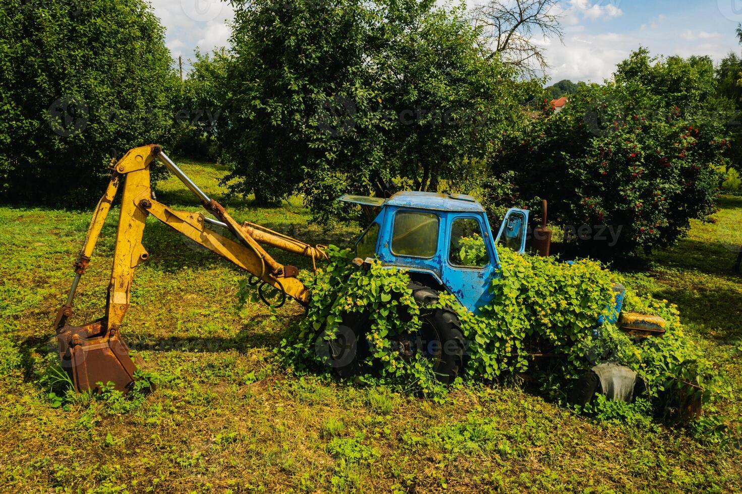 An old tractor with a bucket, abandoned from a green garden photo