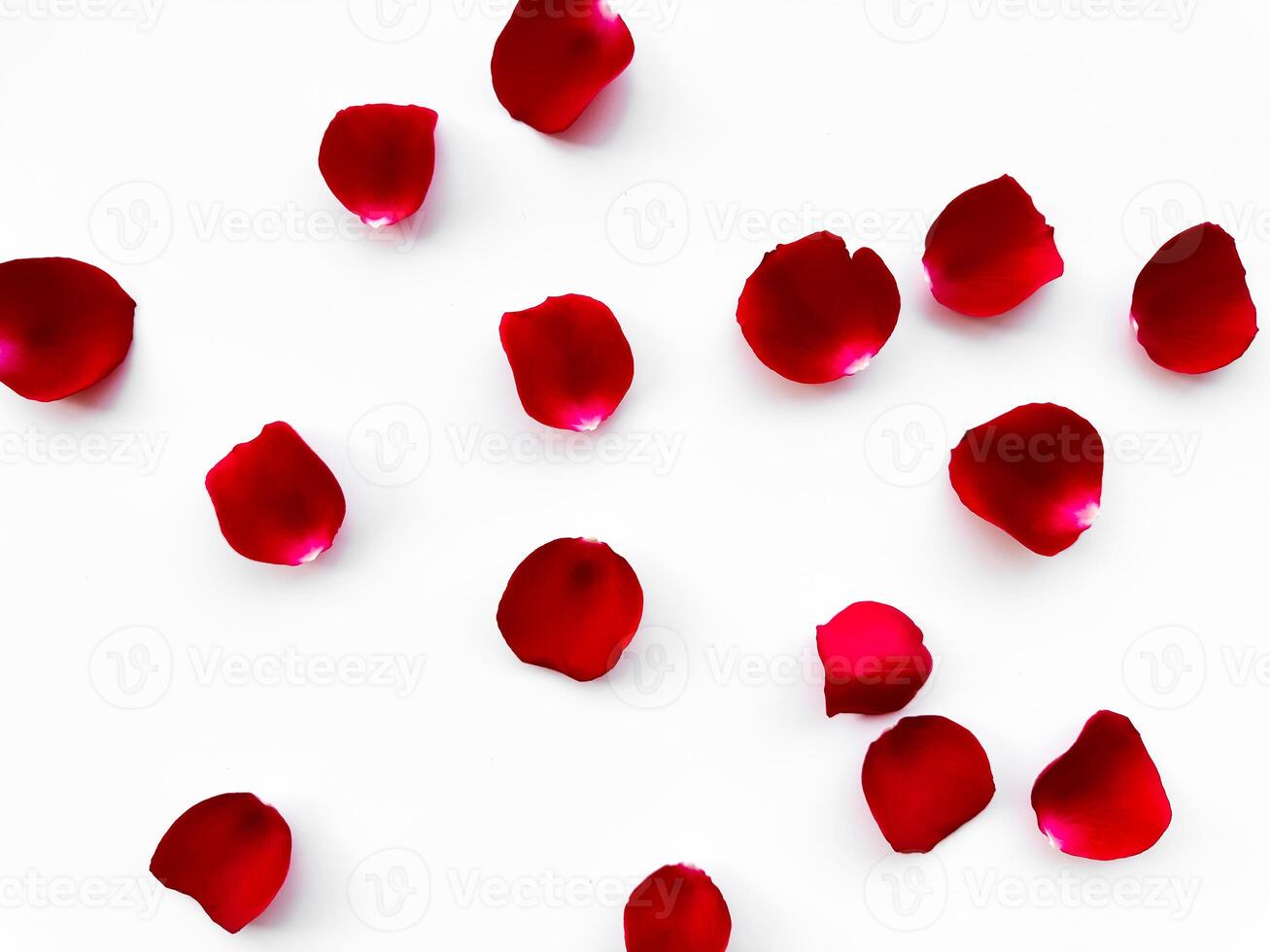 Scattered red rose petals isolated on white background. Flat lay, top view. Romantic concept for design and decoration. Can be used for romantic event decorations, wedding invitations, greeting cards photo