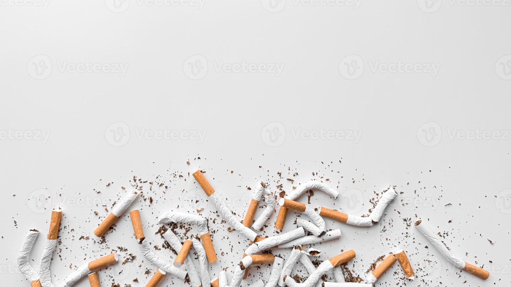 Discarded crushed broken cigarettes and scattered tobacco on white background, representing cessation and the end of smoking with copy space. No tobacco day. photo