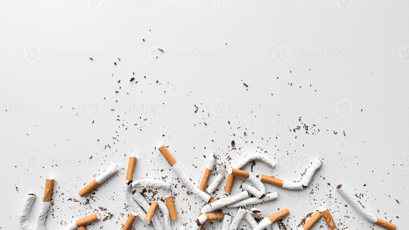Discarded crushed broken cigarettes and scattered tobacco on white background, representing cessation and the end of smoking with copy space. No tobacco day. photo