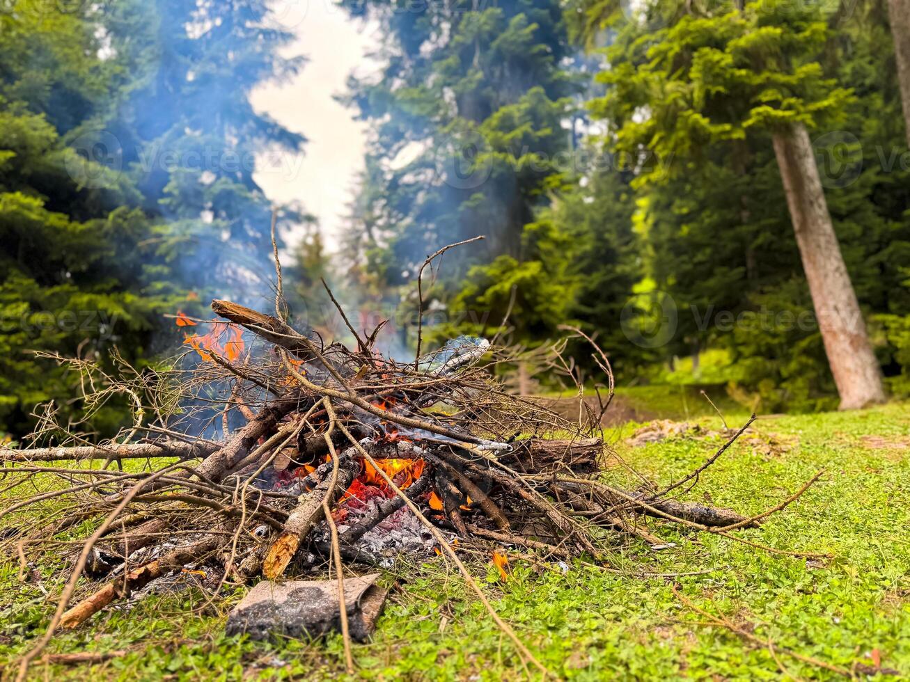 Burning bonfire made of branches and sticks with rising smoke in forest clearing surrounded by pine trees. Natural outdoor scene for camping and adventure. Hiking trip or overnight stays in forest. photo