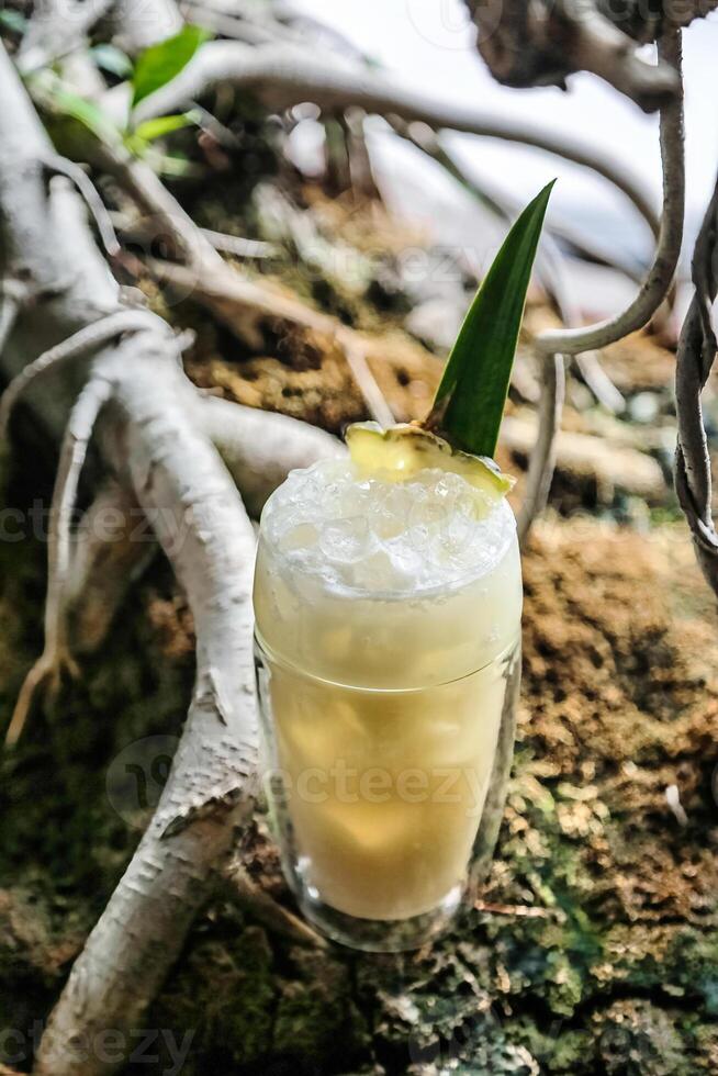 Glass of Drink Resting on Top of Tree Branch photo