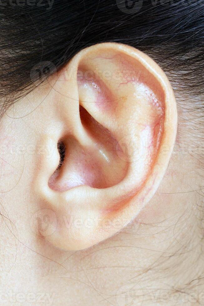Female ear closeup shot photo