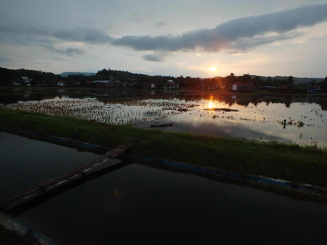 relaxing and calming scenery of an old bamboo bridge crossing an irrigation chanel to rice field with golden yellow light from the sun rise photo