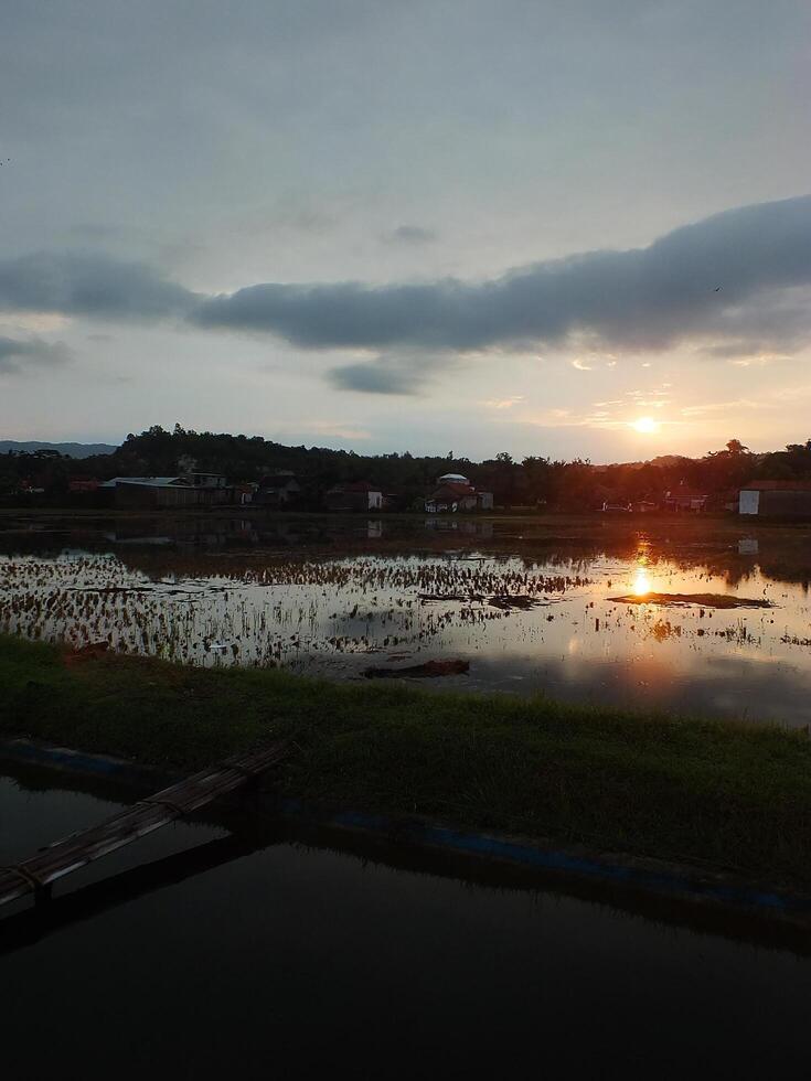 relaxing and calming scenery of an old bamboo bridge crossing an irrigation chanel to rice field with golden yellow light from the sun rise photo