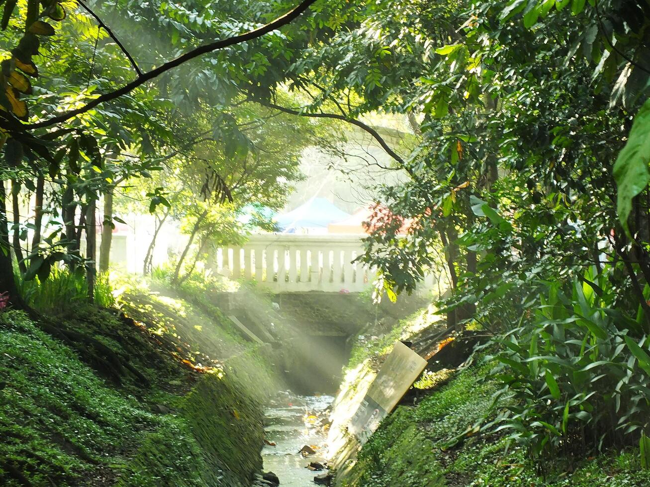 Mystical morning sunbeams on a park with bridge as a background. Sunlight through trees and river photo