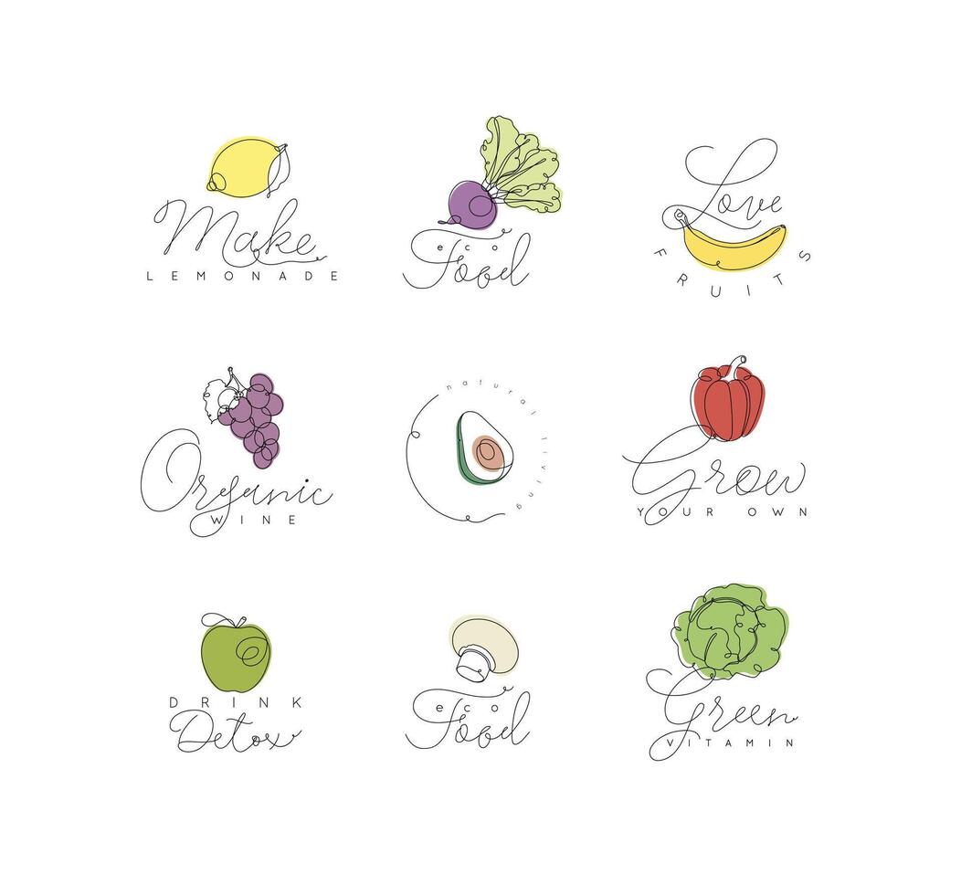 Label vegetables and fruits lemon, beet, banana, grapes, avocado, pepper, apple, champignons, cabbage with text drawing with color in linear style on white background vector