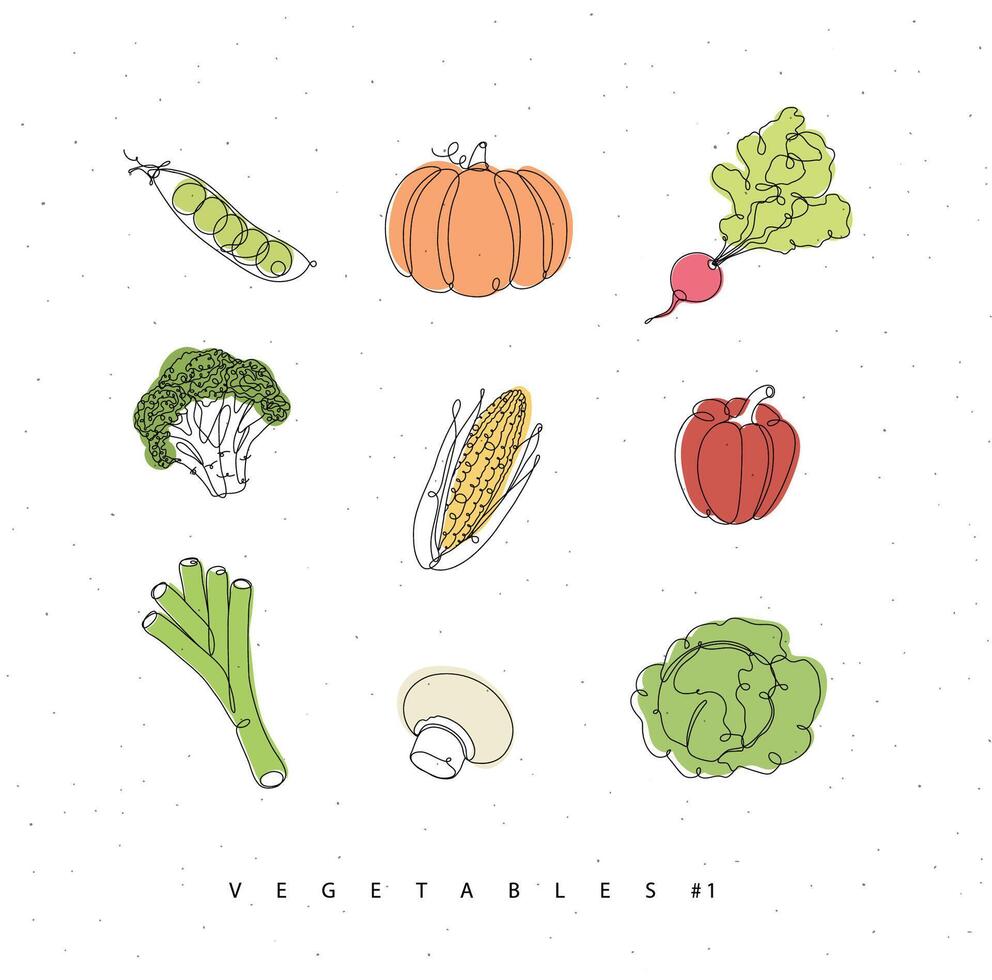 Vegetables icons peas, pumpkin, radish, broccoli, corn, pepper, leek, champignon, cabbage drawing with color in linear style on white background vector