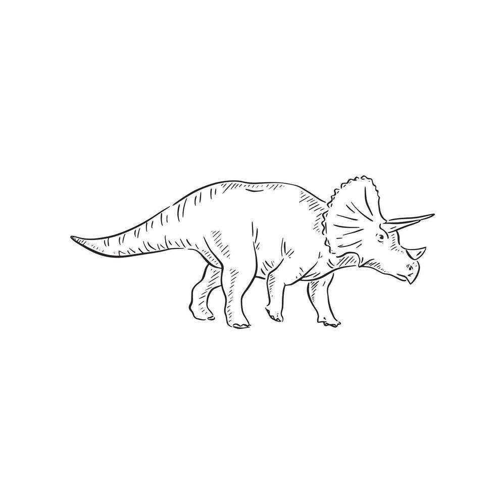 A line drawn illustration of a triceratops. Hand drawn in black and white and shaded using lines. A simple sketchy style illustration vector