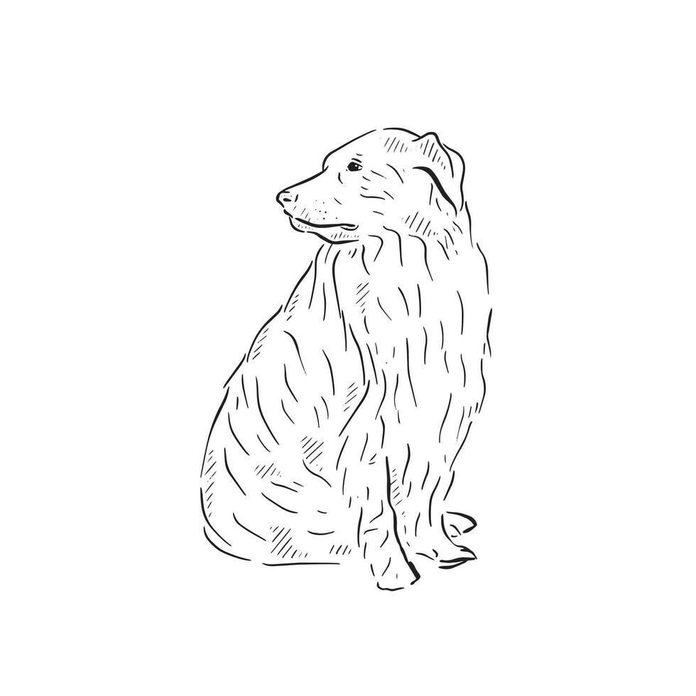 A line drawn dog resembling a sheep dog. In black and white line drawn sketch. vector