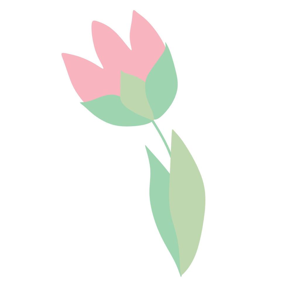 Illustration of a Cartoon cute pink Tulip. Pink tulip symbol or Icon. Hand drawn Spring Blooming Flower Isolated on White background. Flat Design Object for Greeting Card Design, Women Day vector