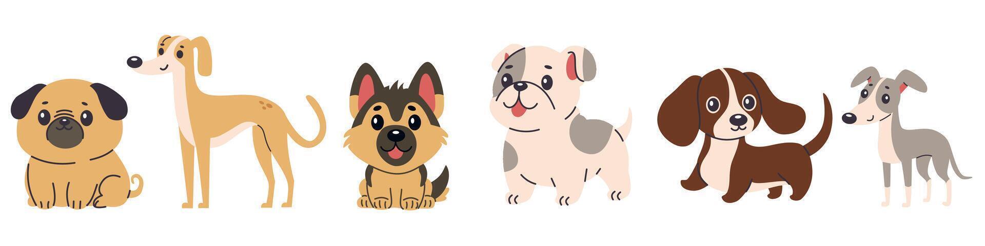 Set of flat illustrations of dogs of different breeds. Greyhound, chihuahua, French bulldog, pug, German shepherd, dachshund vector
